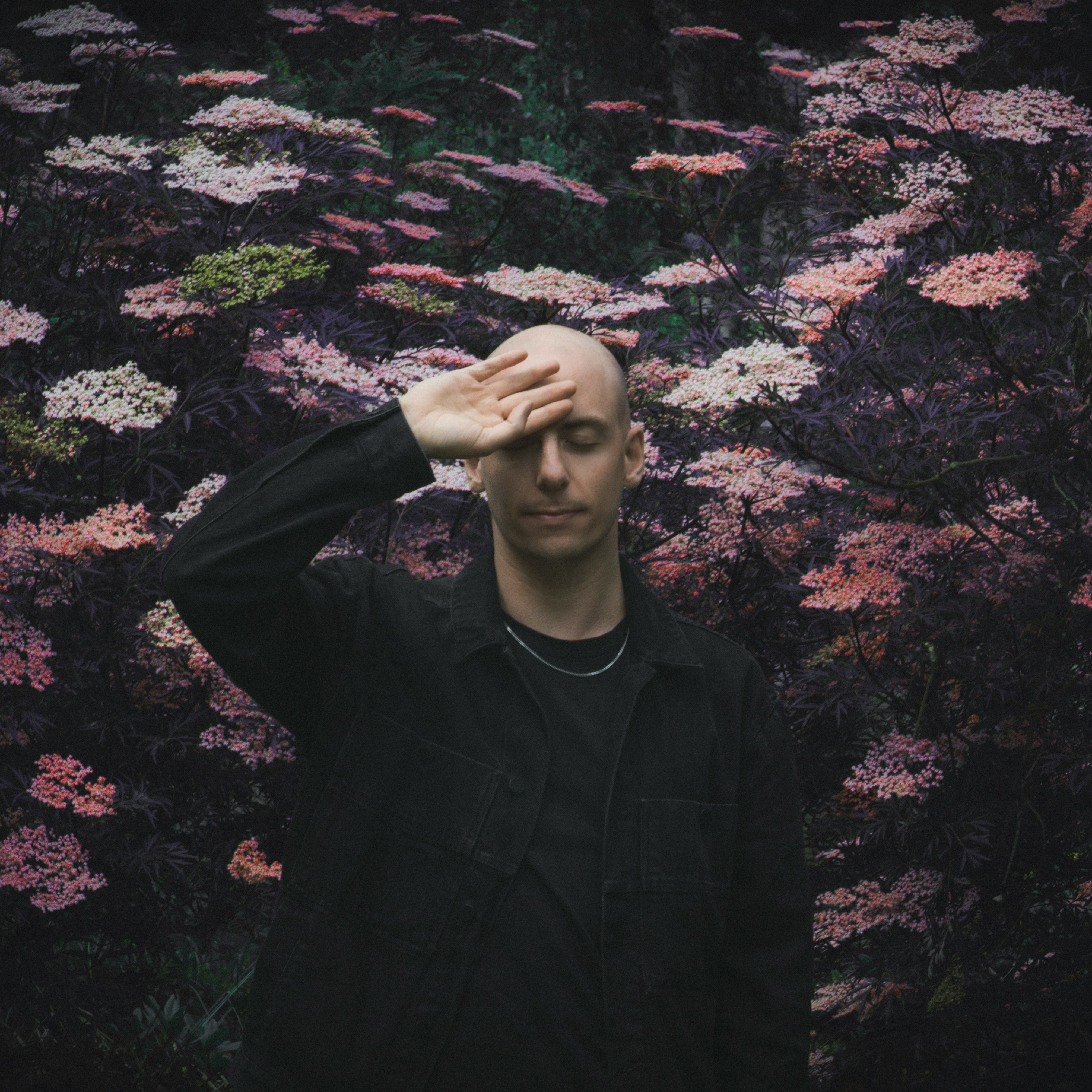 Cooking With Palms Trax: Day & Night