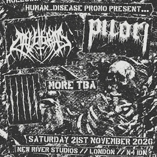 Calligram / Pilori / Still + More