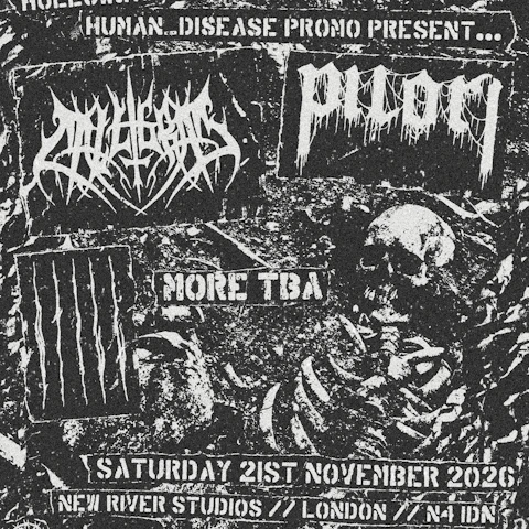 Calligram / Pilori / Still + More
