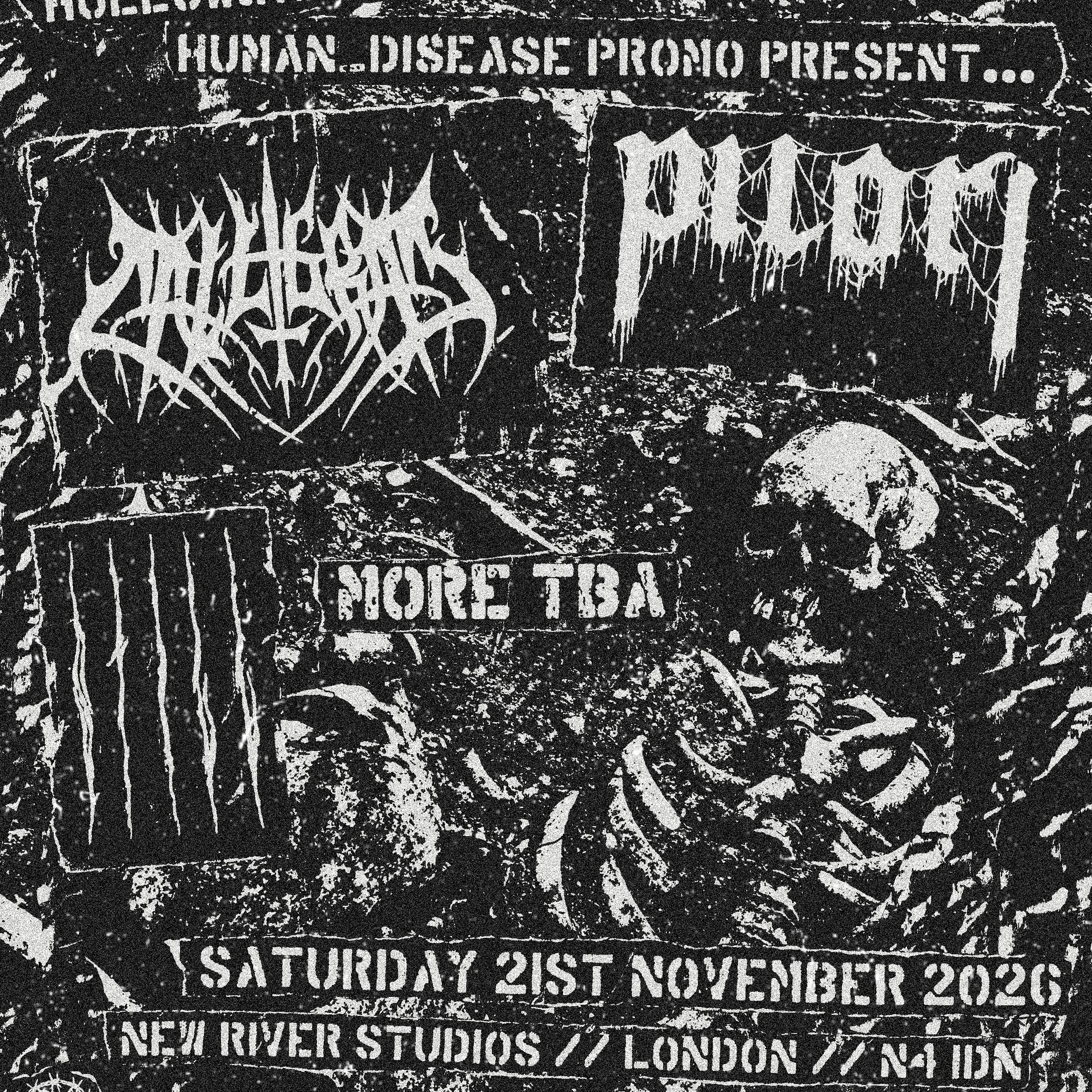 Calligram / Pilori / Still + More
