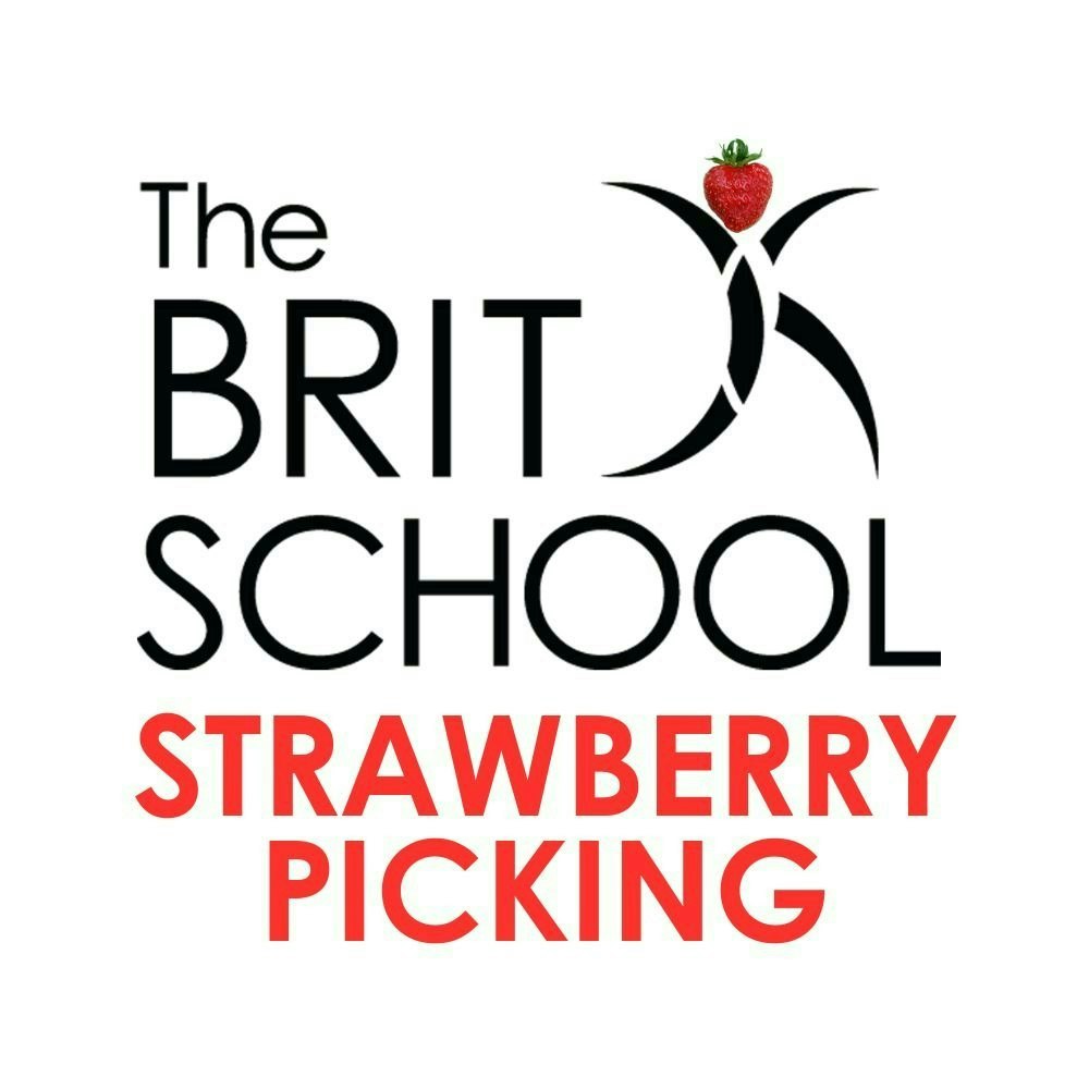 Strawberry Picking
