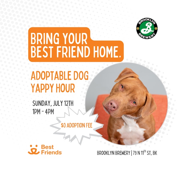 Best Friend's Animal Society: Adoptable Dog Yappy Hour