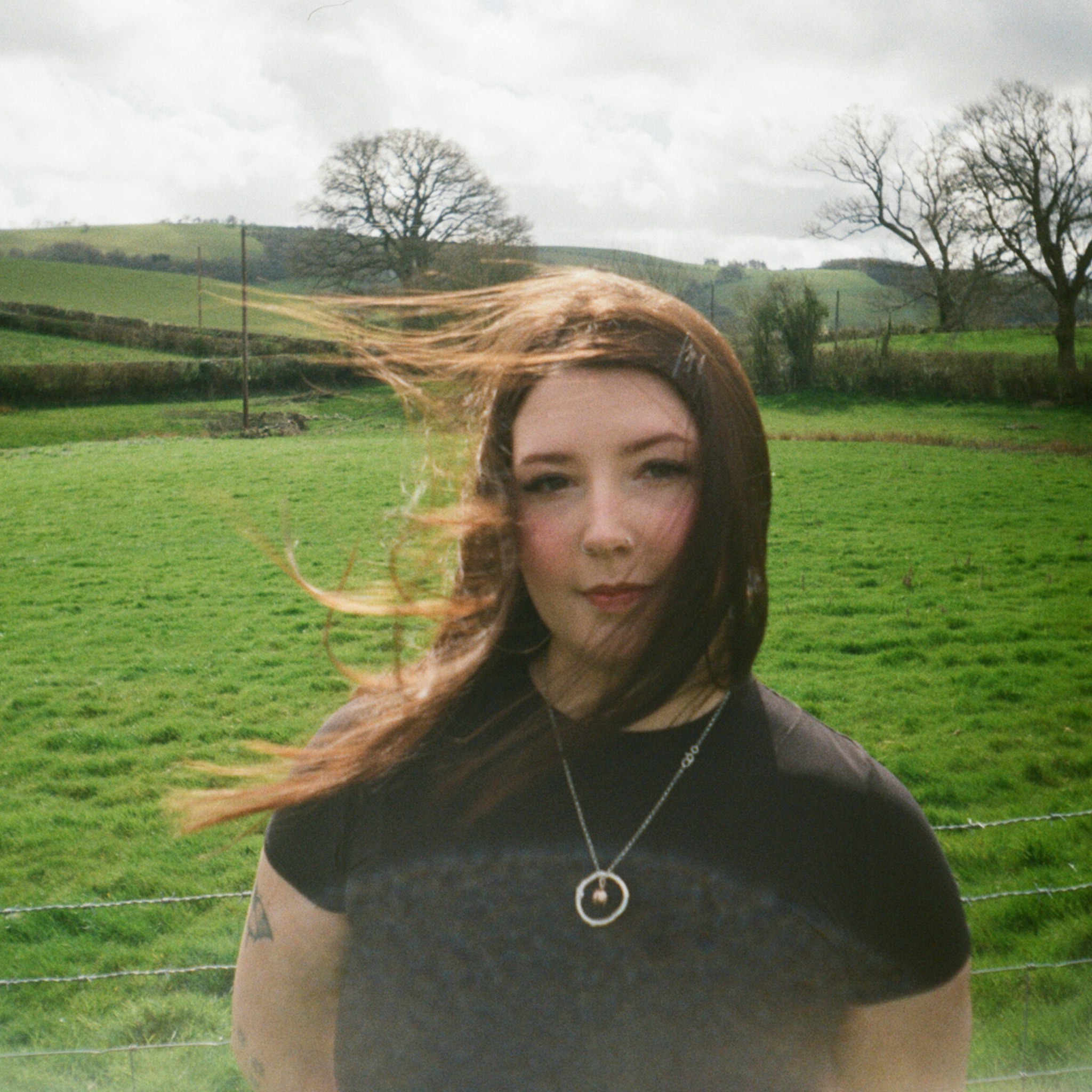 Stella Francis X Henry Stock