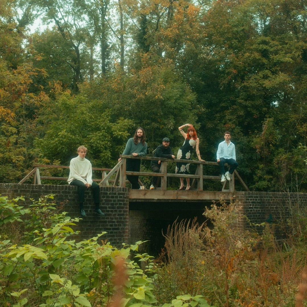 DITZ (uk)