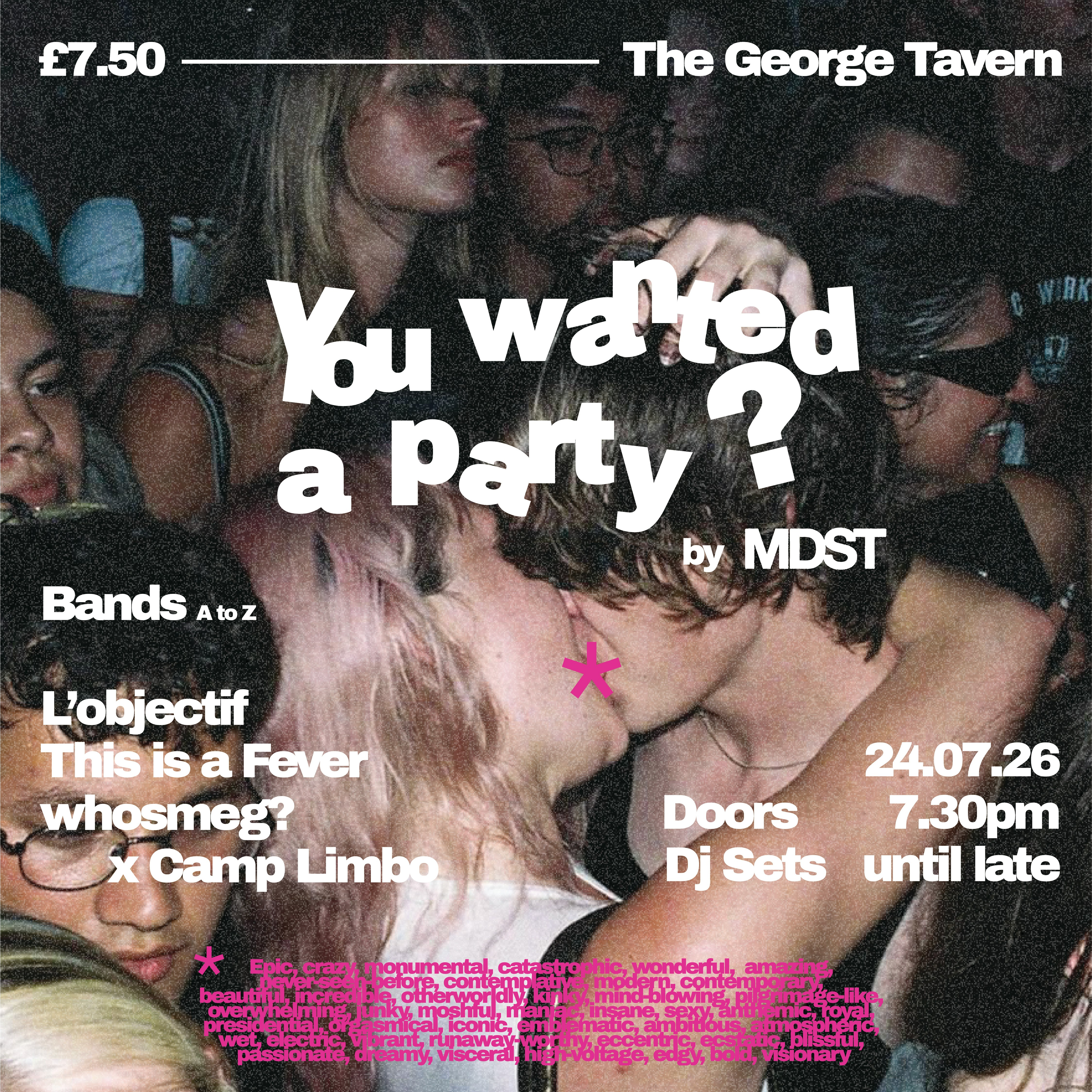 You Wanted a Party?