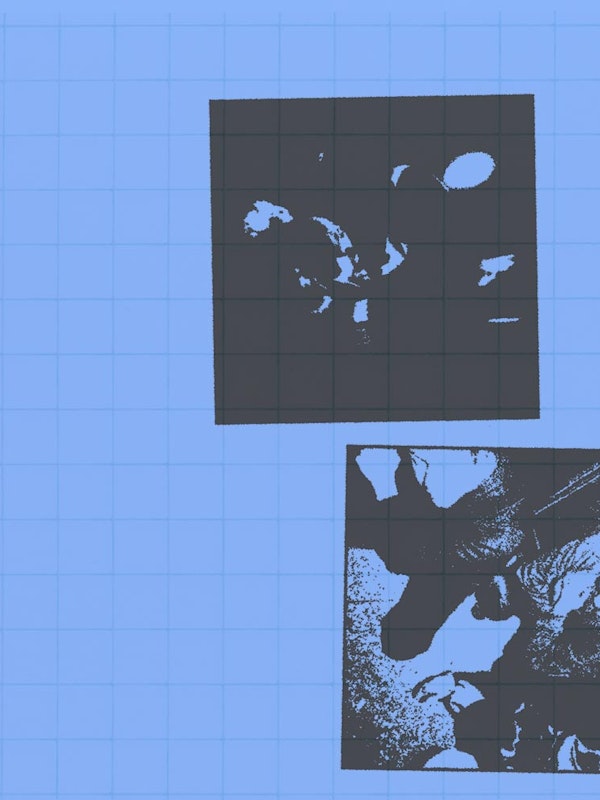 OBL PRESENTS: Big Whale / The Party / TWO MAN LIFT