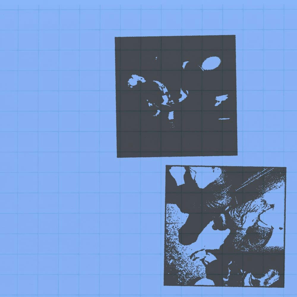 OBL PRESENTS: Big Whale / The Party / TWO MAN LIFT