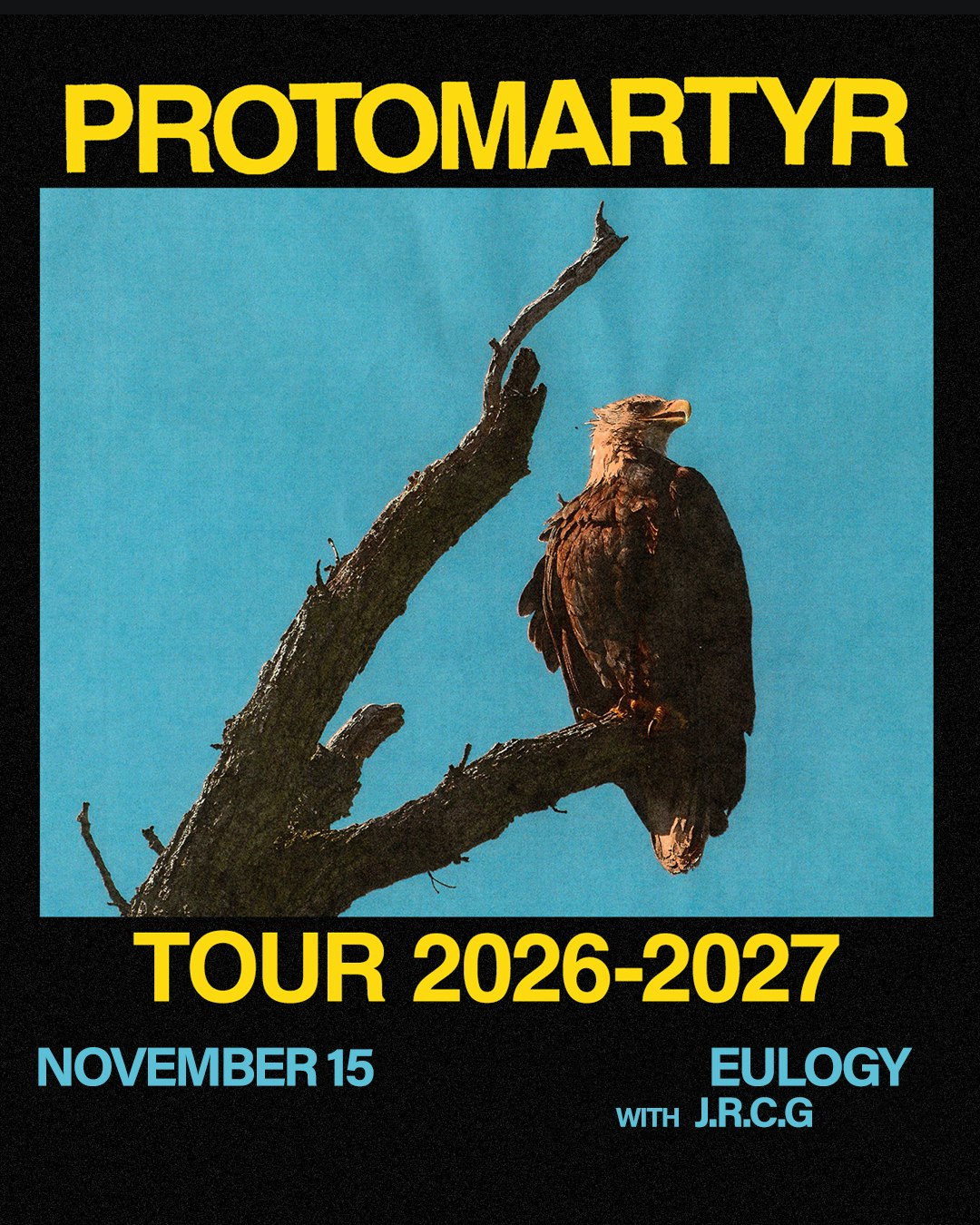 Protomartyr
