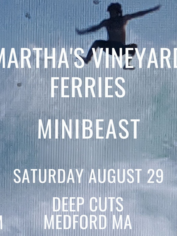Martha's Vineyard Ferries w/ Minibeast
