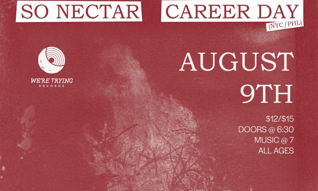 Blind Boxing, Northern Weather, So Nectar, Career Day
