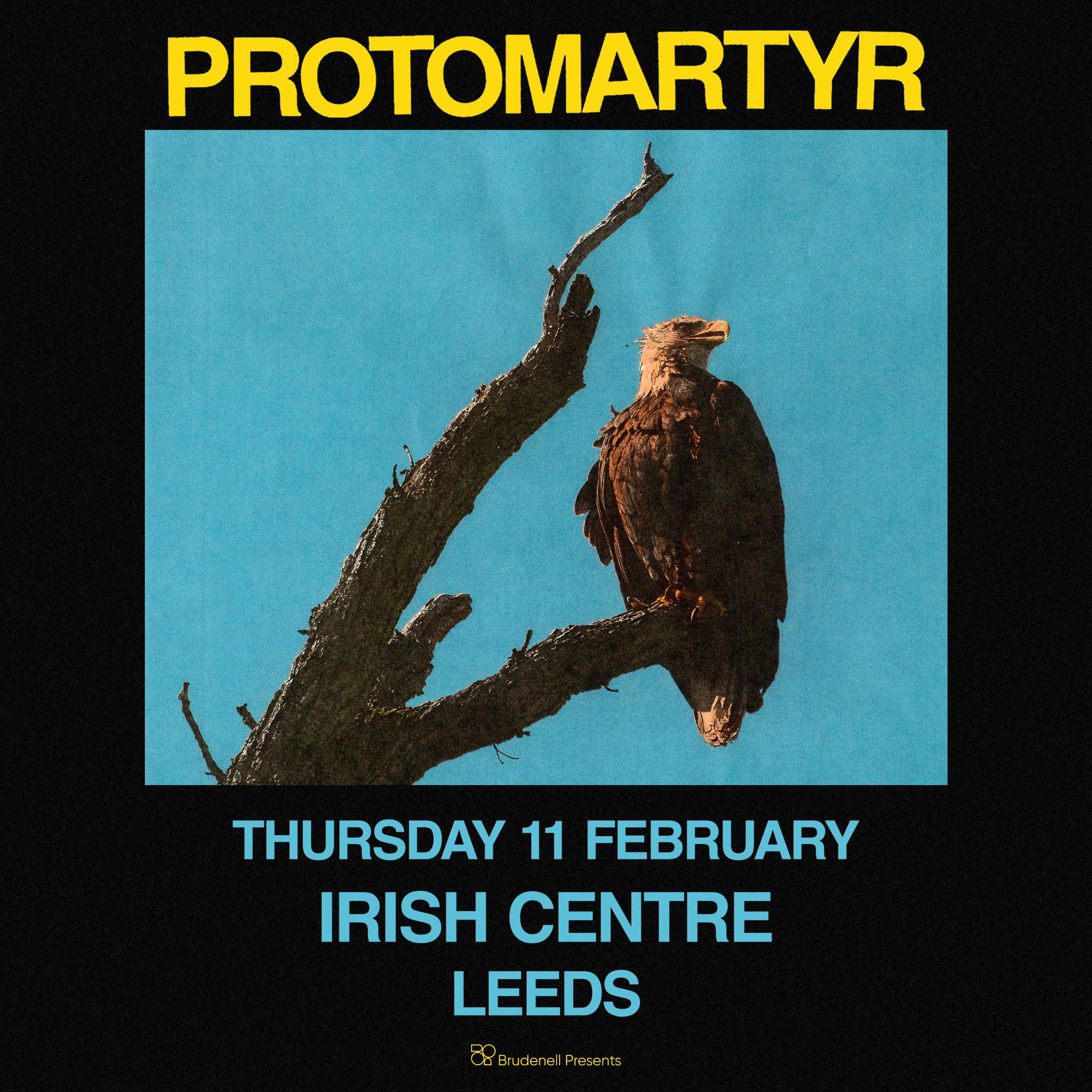 Protomartyr