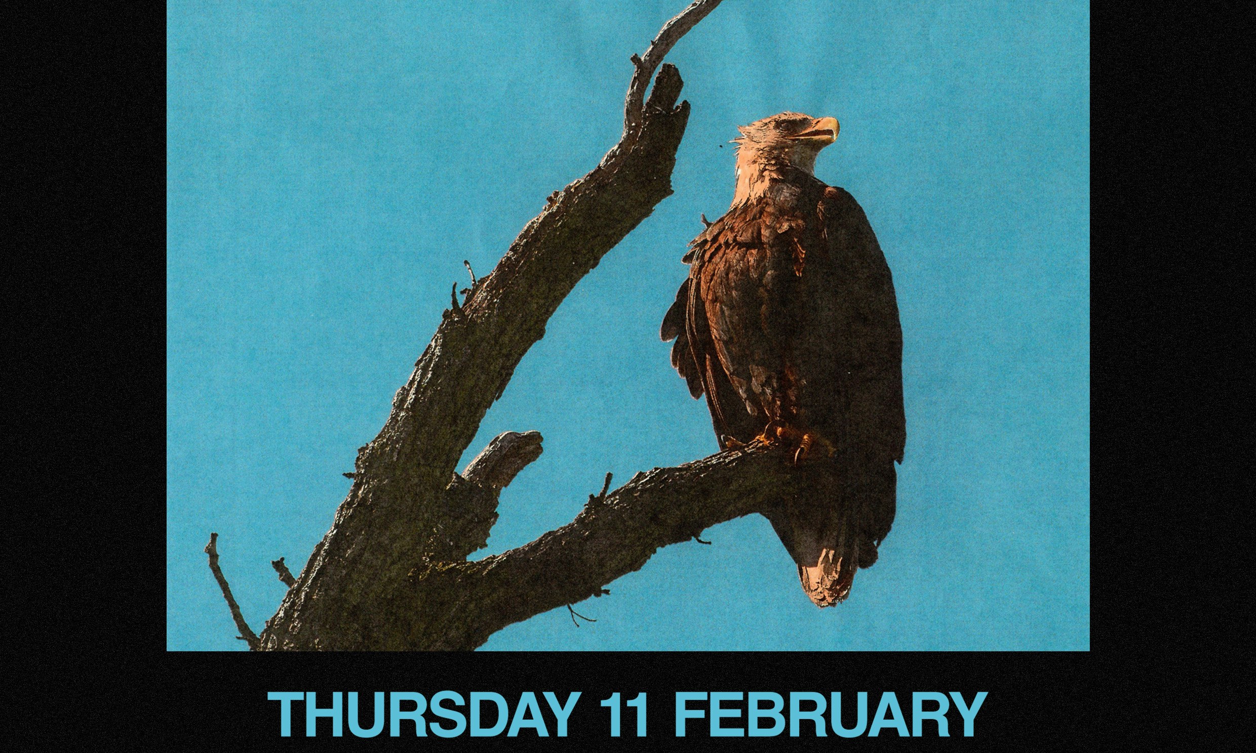 Protomartyr