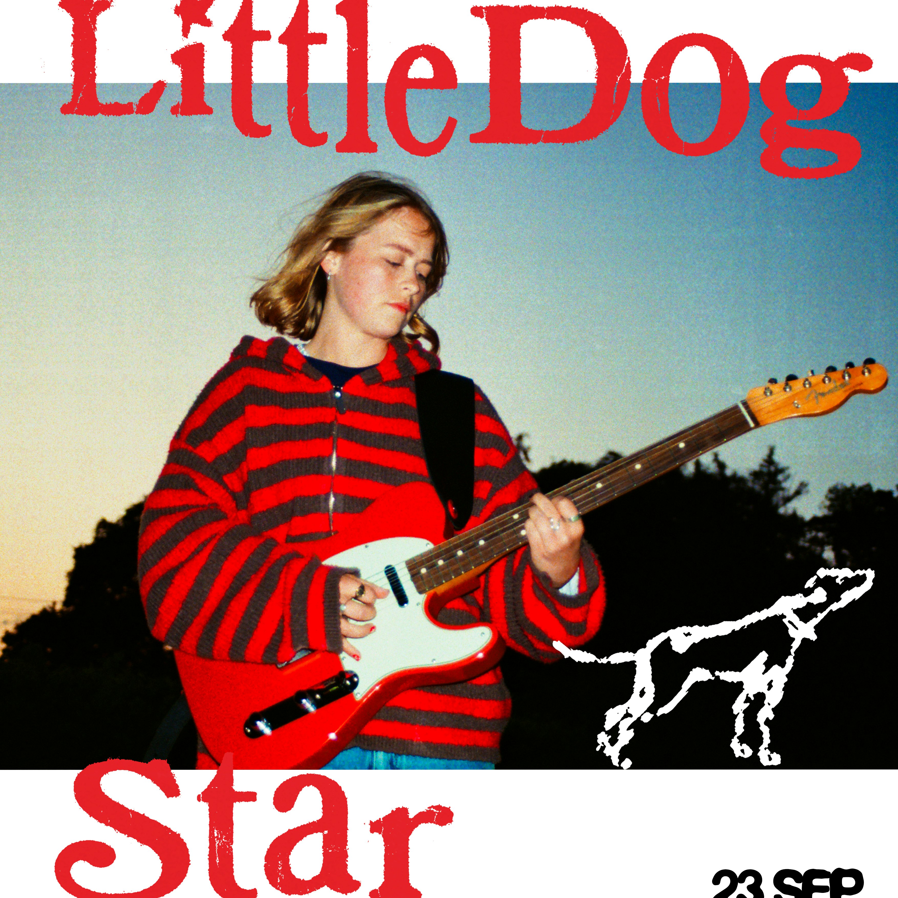 Little Dog Star