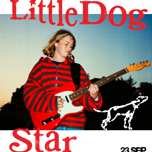 Little Dog Star