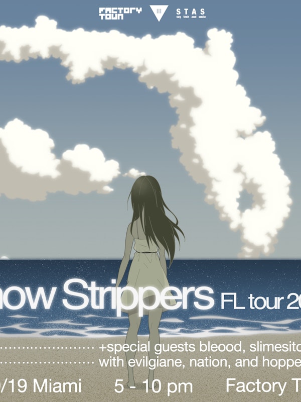 Snow Strippers