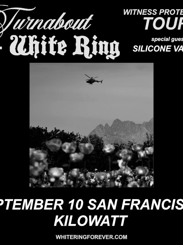 Turnabout + White Ring w/ Silicone Valley