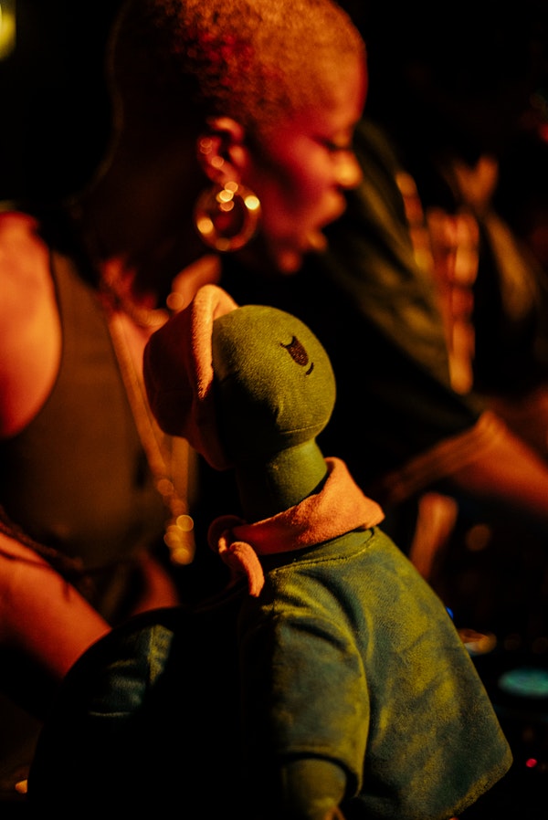 Turtles in Colour