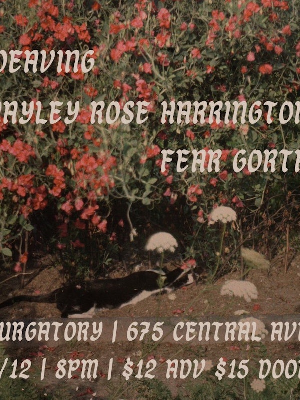 Weaving w/ Hayley Rose Harrington and Fear Gorta