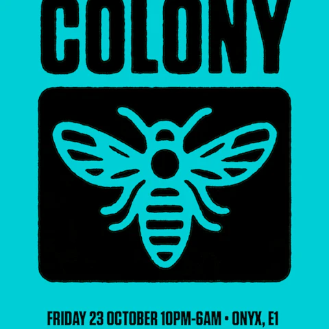 Colony: Digital, Loxy, Vektah, Kira, Trex, Visionobi