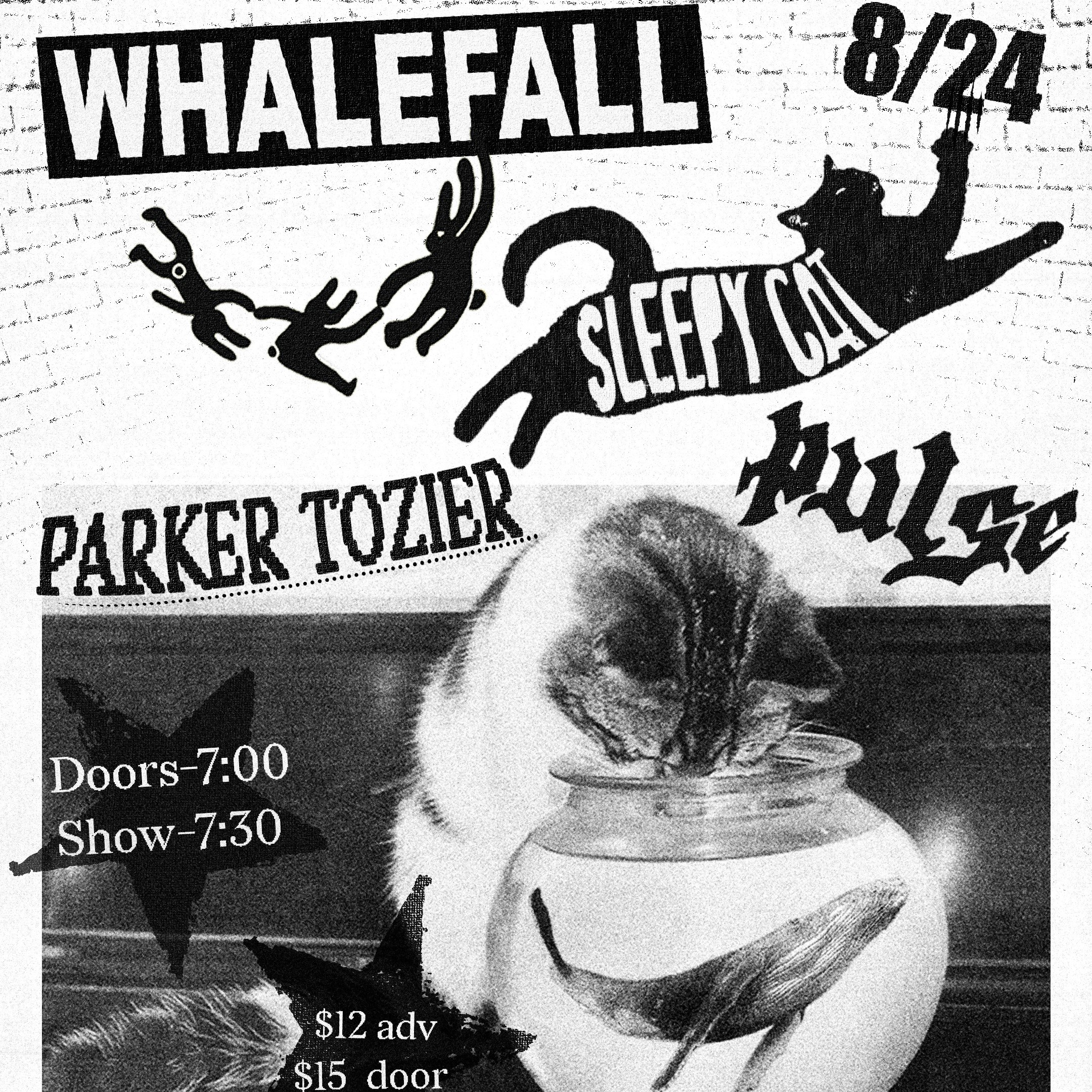 Whalefall, Sleepy Cat, Parker Toizer, Pulse