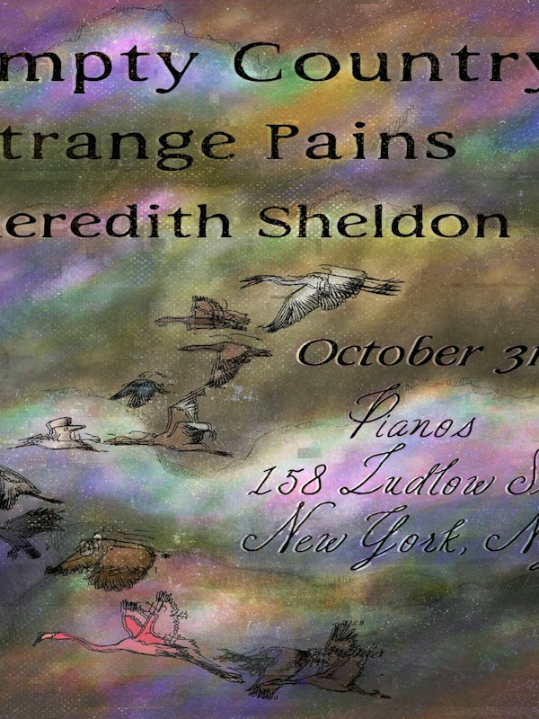 Empty Country • Strange Pains • Meredith Sheldon