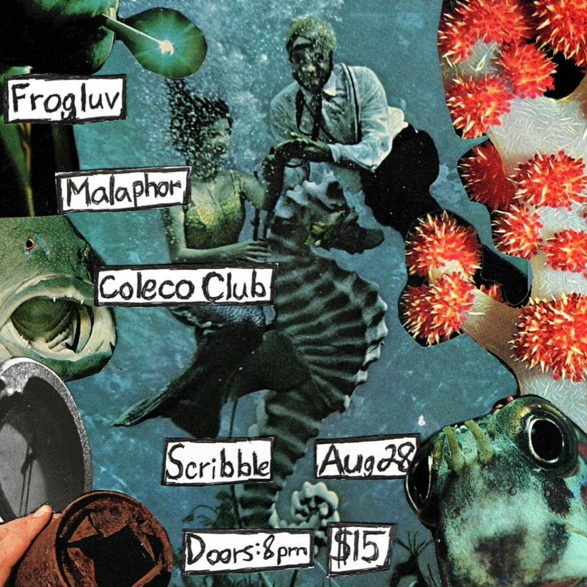 Frogluv / Malaphor / Coleco Club