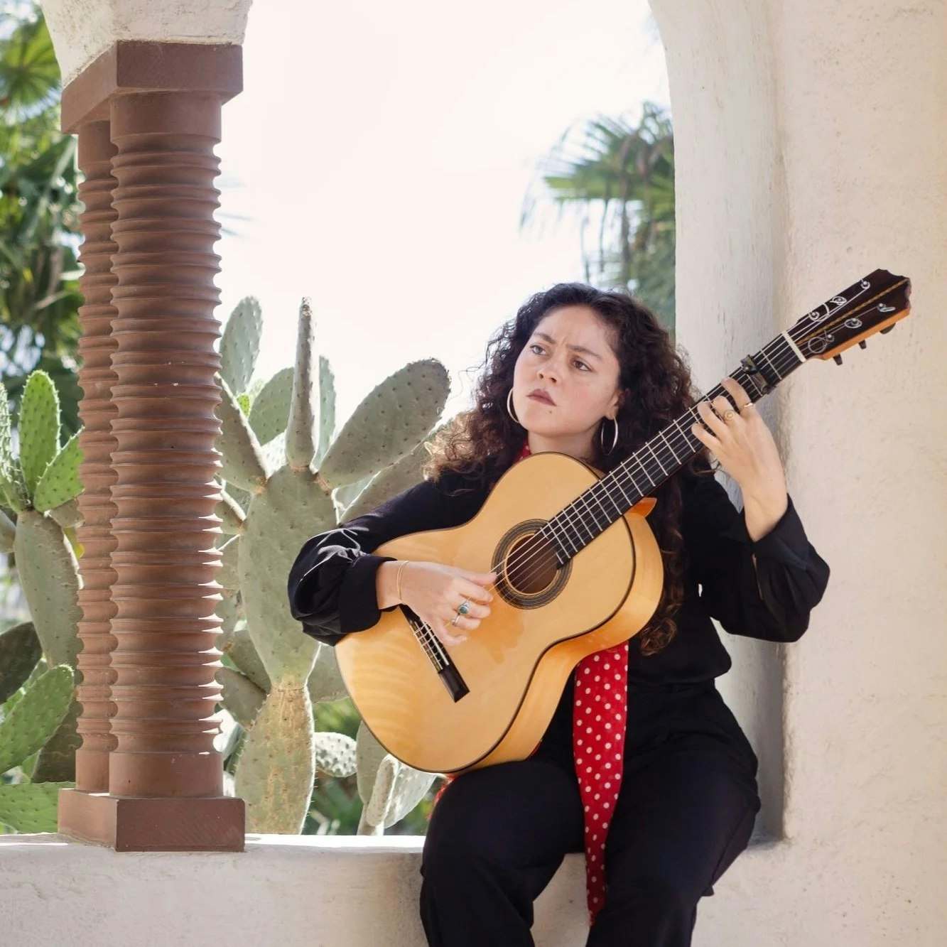 Caro: Flamenco Guitarist