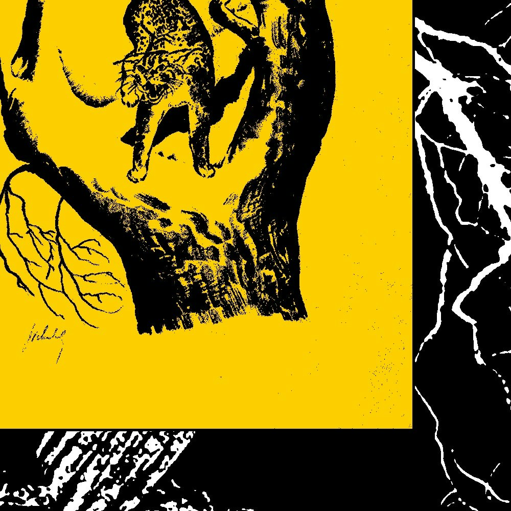 Neumatic Parlo / Houndshark + special guests