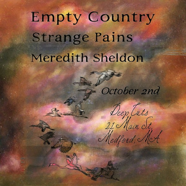 Empty Country / Strange Pains / Meredith Sheldon