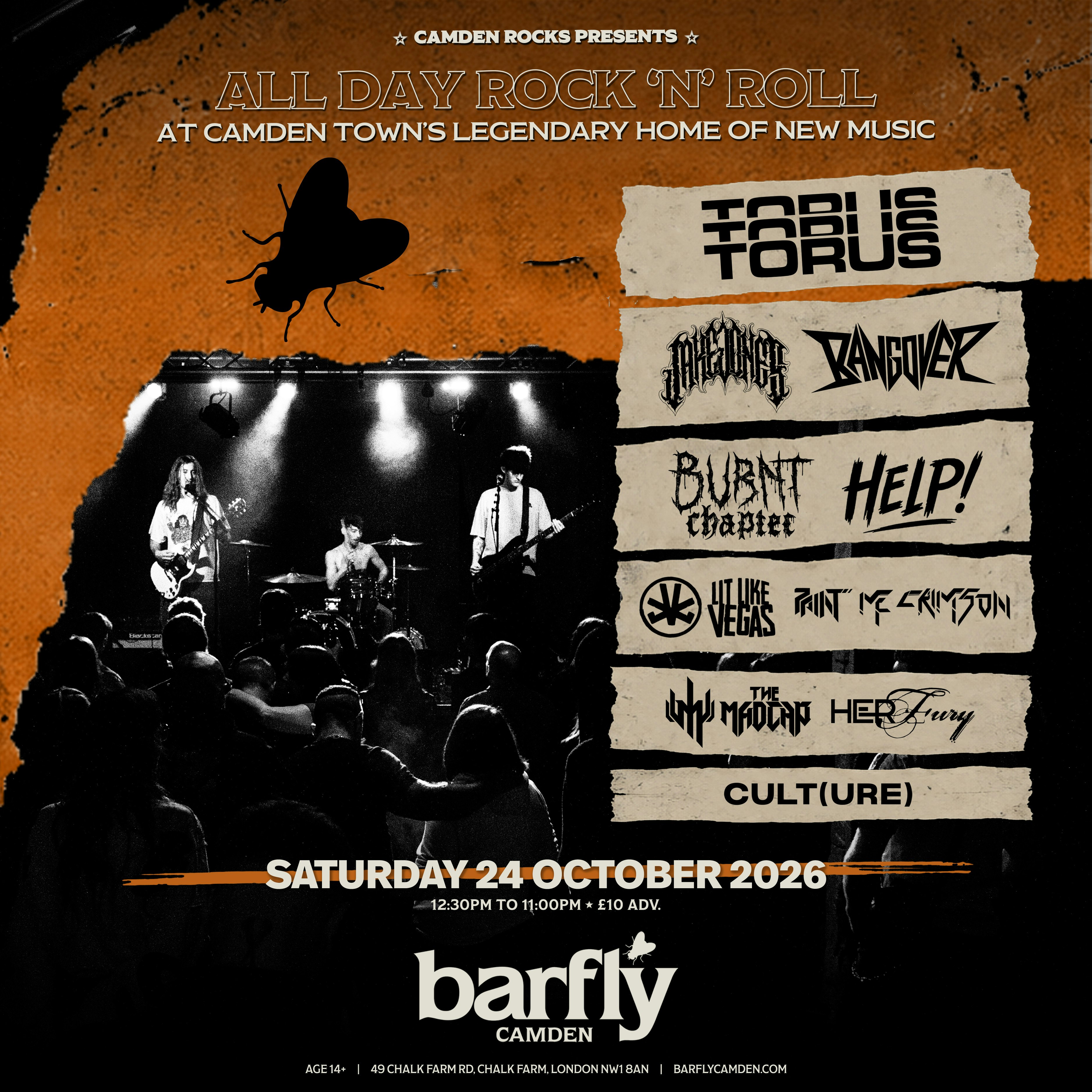 Camden Rocks All Dayer w/ Torus & more