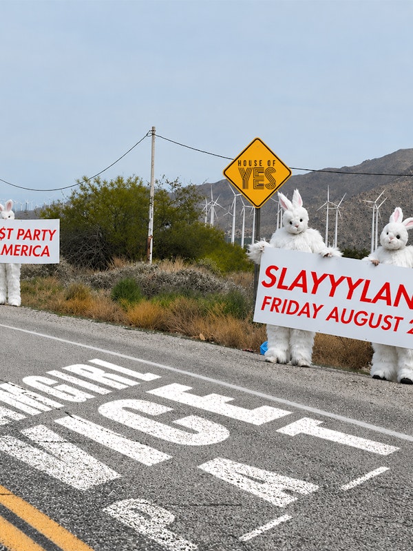 SLAYYYLAND: Cam Girl, VICE, P_A_T