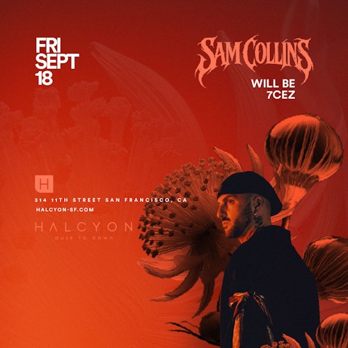 Sam Collins at Halcyon SF