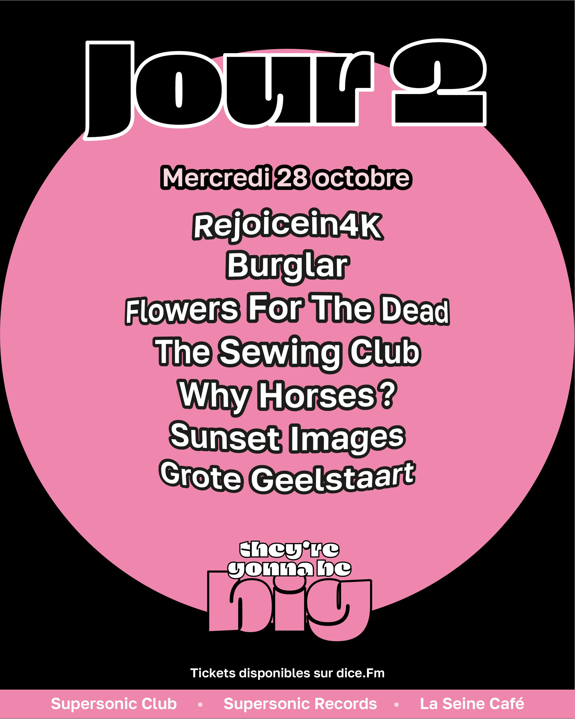 TGBB fest : Rejoincein4K + Burglar + Flowers For The Dead + The Sewing Club + Why Horses? + Sunset Images + Grote Geelstaart