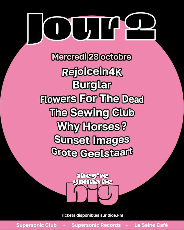 TGBB fest : Rejoincein4K + Burglar + Flowers For The Dead + The Sewing Club + Why Horses? + Sunset Images + Grote Geelstaart