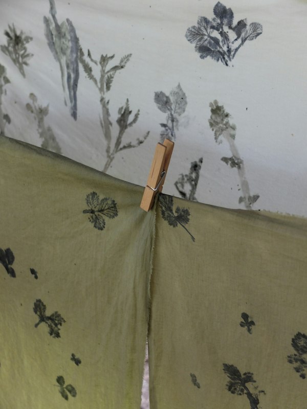 KOUSS•KOUSS - Atelier impression végétale avec Déteintes