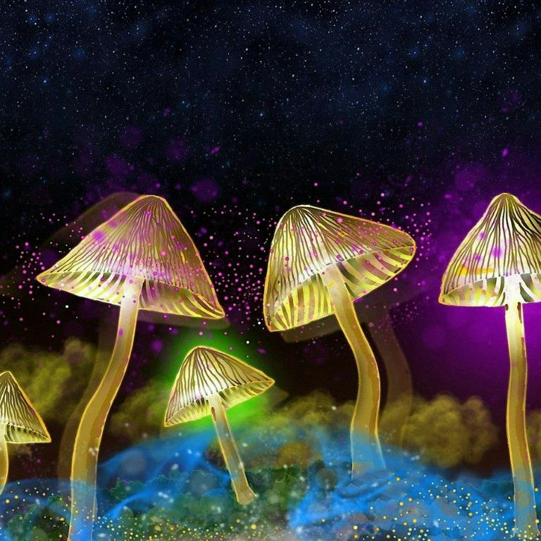 The Science of Psychedelics with Dr David Luke