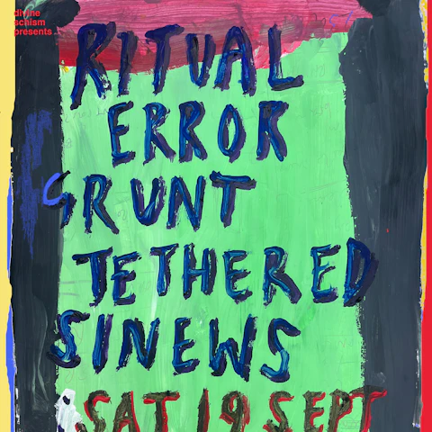 Ritual Error album launch