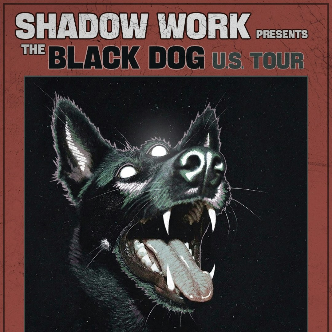 Cover image for Shadow Work