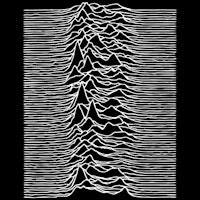 JOY DIVISION UNDERCOVER
