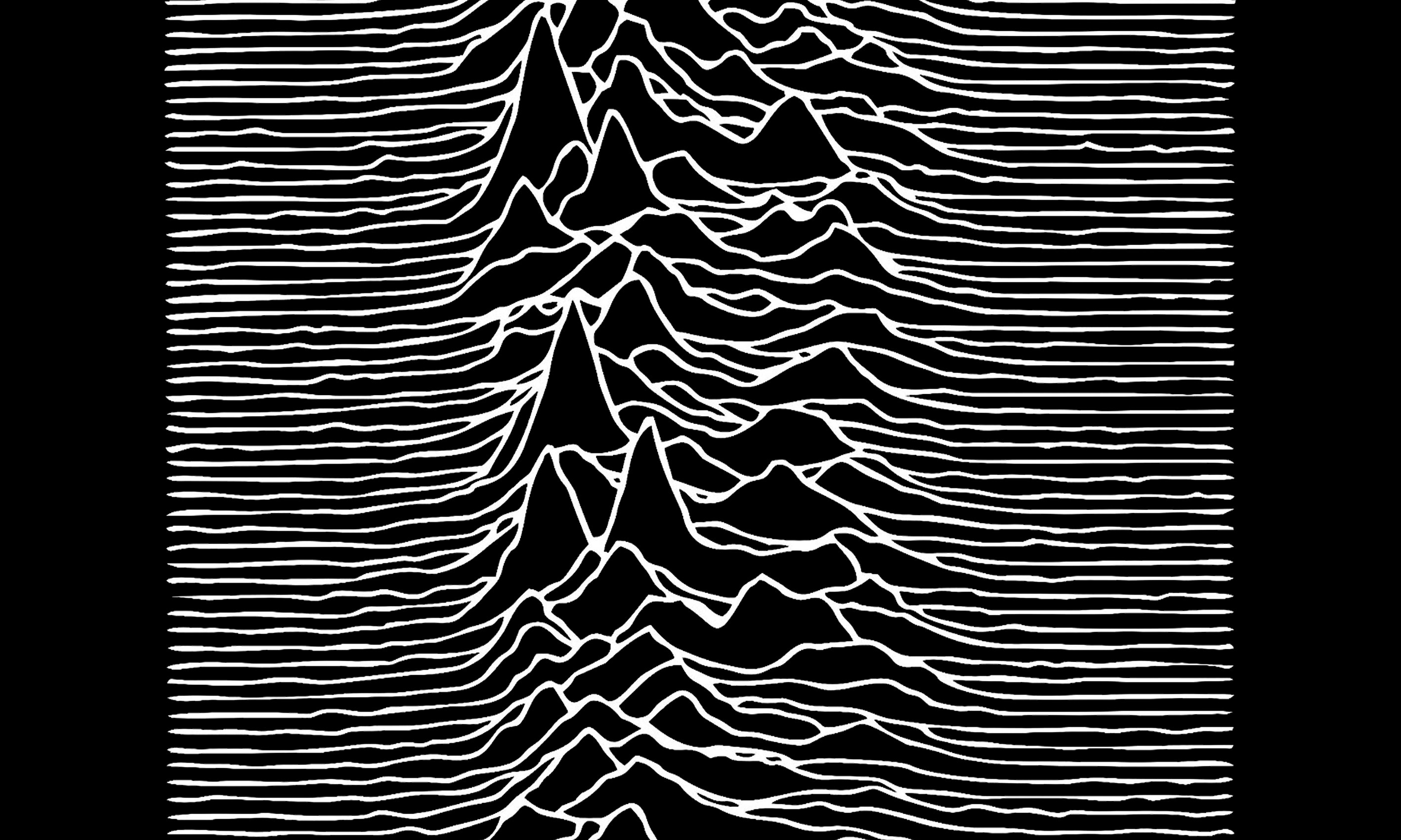 JOY DIVISION UNDERCOVER