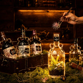 The Kraken's Living Relic: Terrarium Masterclass