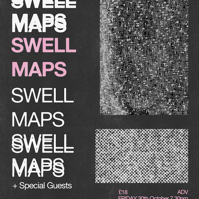 Swell Maps + Guests