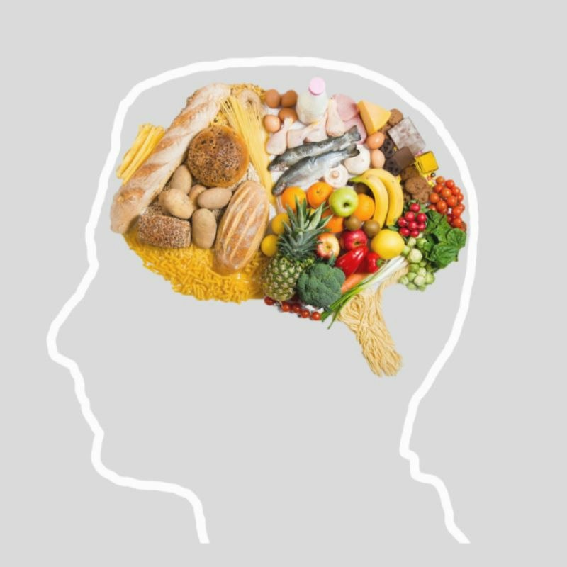 The Gut-Brain Connection: Nourish your mind, body & microbiome at Winchester Science Centre & Planetarium, Southampton