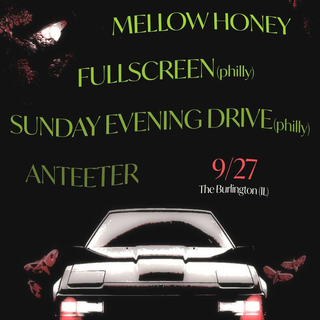 Oux // Fullscreen // Sunday Evening Drive // Anteeter