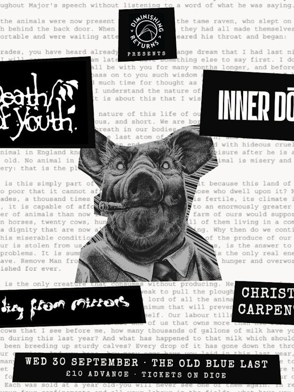 Death of Youth, Inner Dog + more
