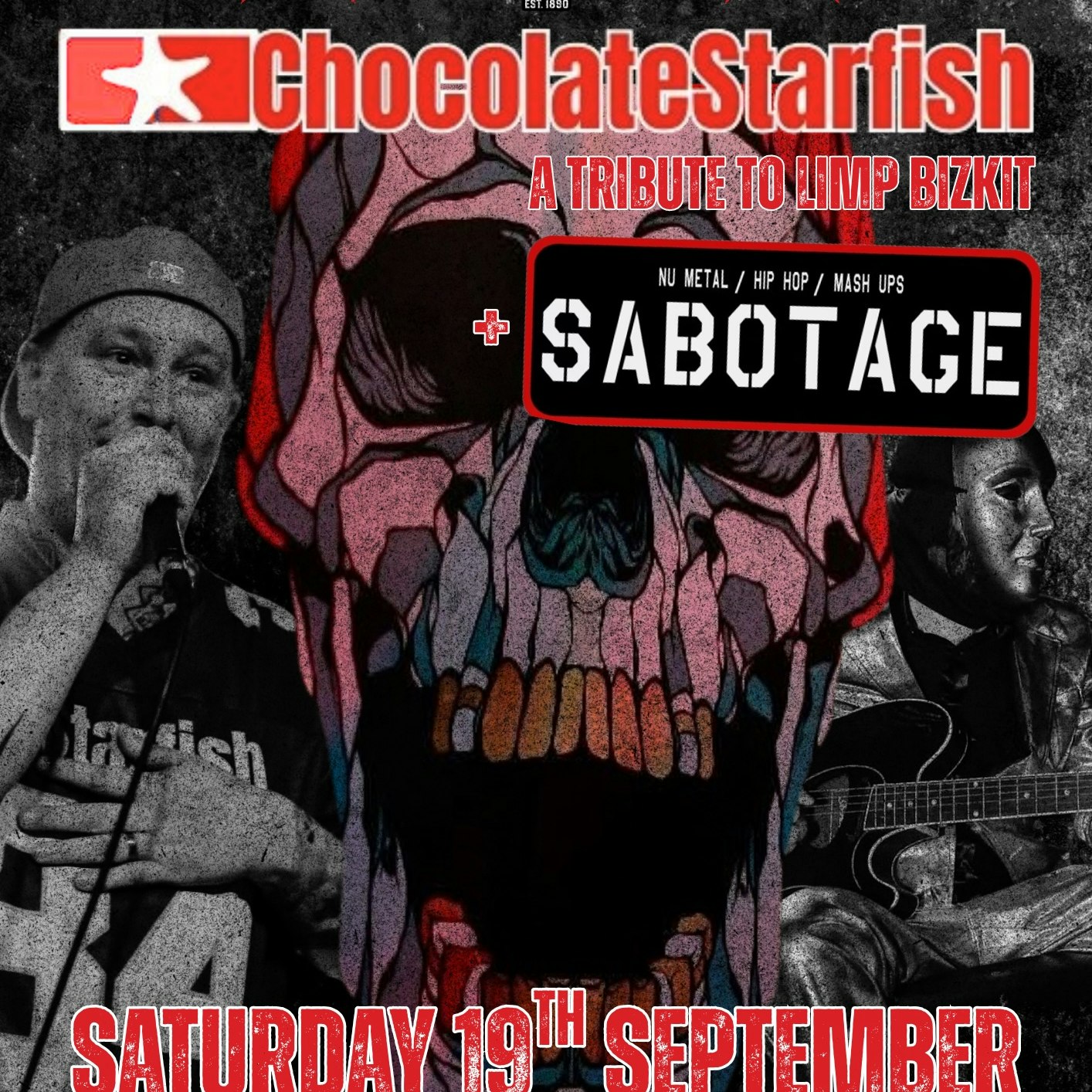 Chocolate Starfish