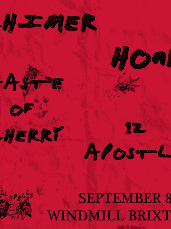 Chimer, Honk, Taste of Cherry, 12 Apostles