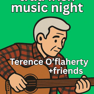 Traditional Irish Music Night