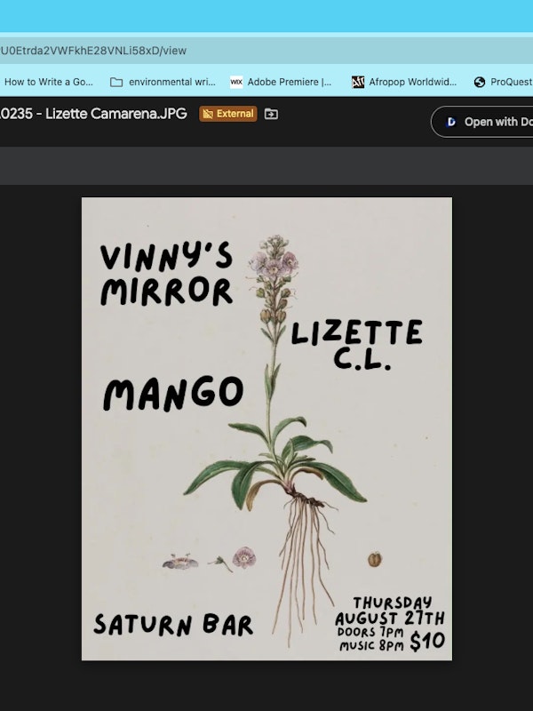 Vinny's Mirror, Mango, Lizette C.L.