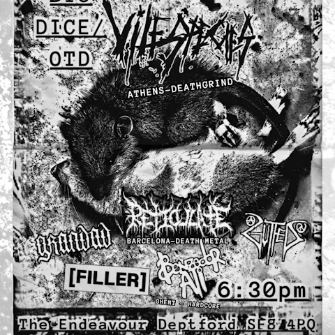 Vile Species / Reticulate
